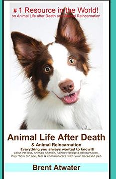 portada Animal Life After Death & Animal Reincarnation: Pet Loss Answers for all Your Heart'S Questions! (en Inglés)