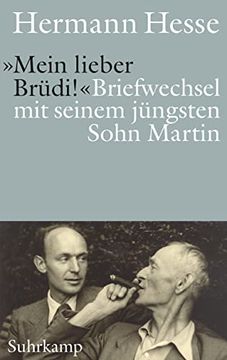 portada Mein Lieber Brüdi! «. Briefwechsel mit Seinem Jüngsten Sohn Martin (in German)