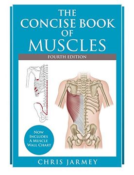 portada The Concise Book of Muscles Fourth Edition 