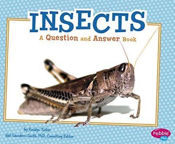 portada Insects: A Question and Answer Book (Animal Kingdom Questions and Answers) (en Inglés)