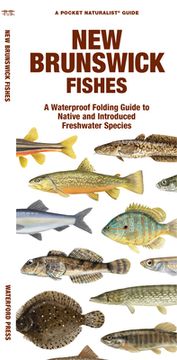 portada New Brunswick Fishes: A Waterproof Folding Guide to Native and Introduced Freshwater Species (en Inglés)