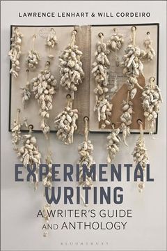 portada Experimental Writing: A Writer's Guide and Anthology (Bloomsbury Writer's Guides and Anthologies)