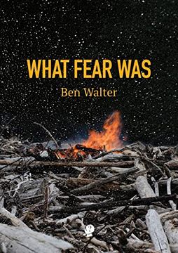 portada What Fear was (en Inglés)