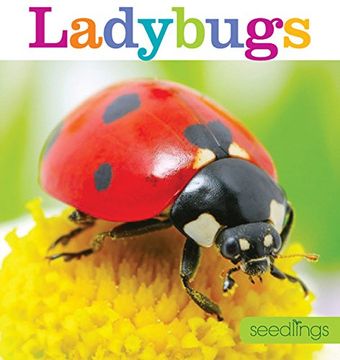 portada Seedlings: Ladybugs