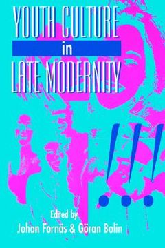 portada youth culture in late modernity (en Inglés)