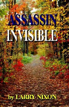 portada assassin invisible (en Inglés)