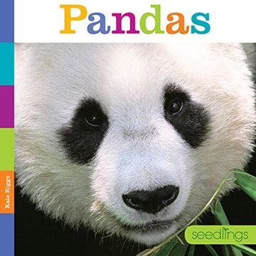 portada Seedlings: Pandas