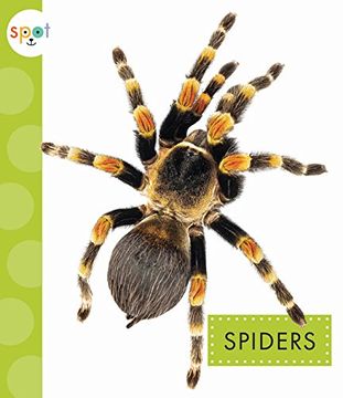 portada Spiders (Spot Creepy Crawlies)