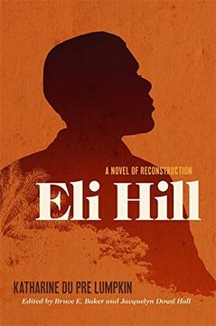 portada Eli Hill: A Novel of Reconstruction (in English)