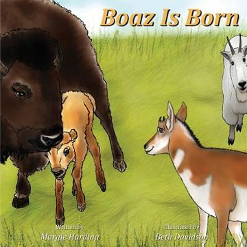 portada Boaz Is Born (en Inglés)