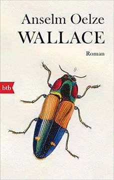 portada Wallace: Roman (en Alemán)