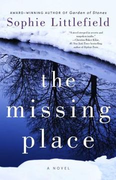 portada The Missing Place (en Inglés)
