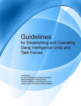 portada Guidelines for Establishing and Operating Gang Intelligence Units and Task Forces (en Inglés)