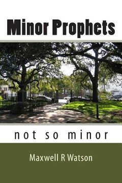 portada Minor Prophets: not so minor (en Inglés)