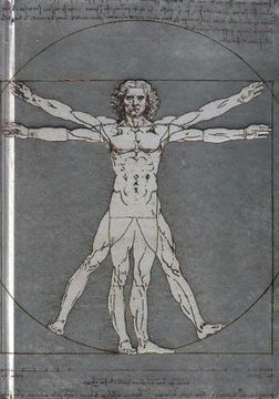 portada Da Vinci'S Vitruvian Man