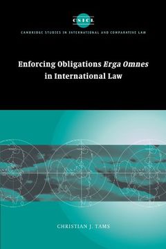 portada Enforcing Obligations Erga Omnes in International law (Cambridge Studies in International and Comparative Law) (in English)