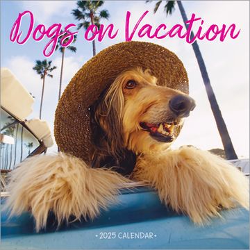 portada Dogs on Vacation Wall Calendar 2025 (in English)