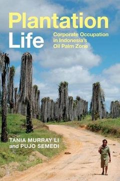 portada Plantation Life: Corporate Occupation in Indonesia'S oil Palm Zone (en Inglés)
