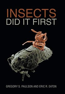 portada Insects did it First (en Inglés)