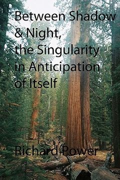 portada between shadow and night, the singularity in anticipation of itself (in English)