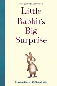 portada Little Rabbit's big Surprise (Paperback)