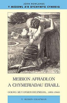 portada Meibion Afradlon a Chymeriadau Eraill: Golwg ar y Dymer Delynegol, 1891-1940