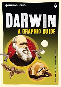 portada Introducing Darwin: A Graphic Guide (in English)