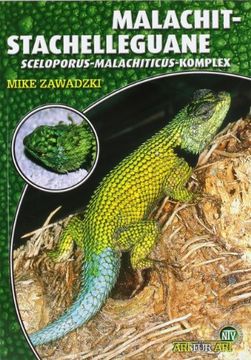 portada Malachit-Stachelleguane: Der Sceloporus-Malachiticus-Komplex (in German)