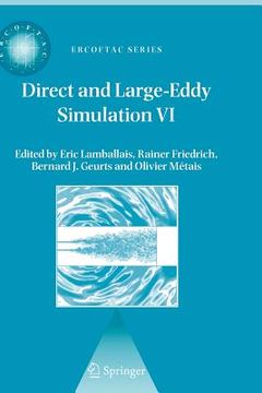 portada direct and large-eddy simulation vi: proceedings of the sixth international ercoftac workshop on direct and large-eddy simulation, held at the univers (en Inglés)