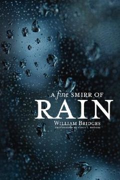 portada a fine smirr of rain (en Inglés)