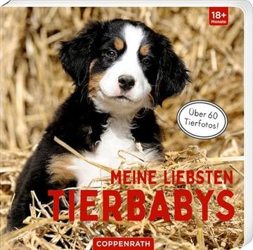 portada Meine Liebsten Tierbabys (en Alemán)