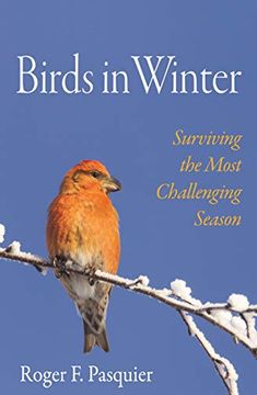 portada Birds in Winter: Surviving the Most Challenging Season (en Inglés)
