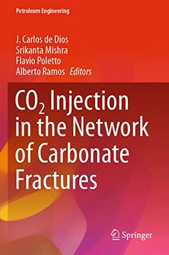 portada CO2 Injection in the Network of Carbonate Fractures (in English)
