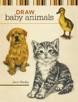 portada Draw Baby Animals (en Inglés)