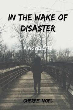 portada In the Wake of Disaster (en Inglés)
