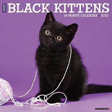 portada Just Black Kittens 2023 Wall Calendar 