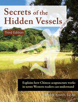 portada Secrets of the Hidden Vessels: Explains how Chinese Acupuncture Works in Terms Western Readers can Understand (in English)