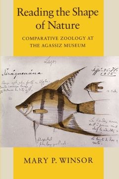 portada Reading the Shape of Nature (Paper): Comparative Zoology at the Agassiz Museum (Science & its Conceptual Foundations s. ): (en Inglés)