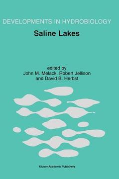 portada saline lakes (in English)
