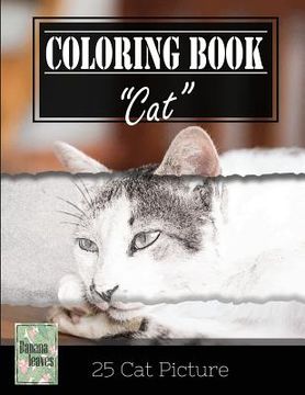 portada Kittens Cat Sketch Gray Scale Photo Adult Coloring Book, Mind Relaxation Stress Relief: Just added color to release your stress and power brain and mi (in English)
