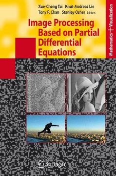 portada image processing based on partial differential equations: proceedings of the international conference on pde-based image processing and related invers (en Inglés)