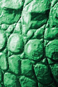 portada Alive! crocodile skin - Emerald duotone - Photo art notebooks (6 x 9 series) (en Inglés)
