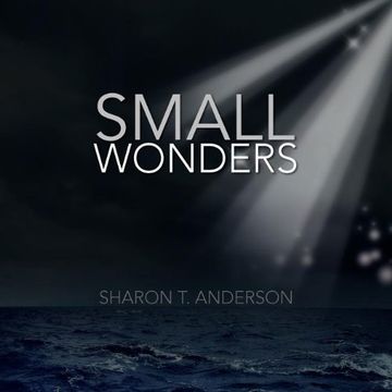 portada small wonders (en Inglés)