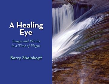 portada A Healing Eye: Images and Words in a Time of Plague (en Inglés)