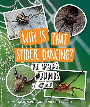 portada Why is That Spider Dancing? The Amazing Arachnids of Aotearoa (en Inglés)