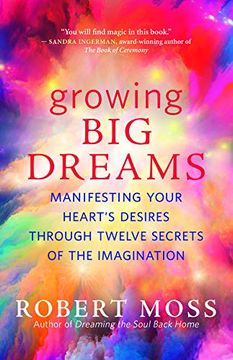 portada Growing big Dreams: Manifesting Your Heart'S Desires Through Twelve Secrets of the Imagination (en Inglés)