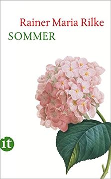portada Sommer (Insel Taschenbuch) (in German)