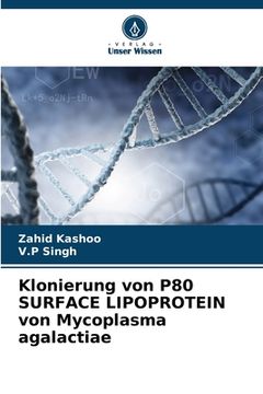 portada Klonierung von P80 SURFACE LIPOPROTEIN von Mycoplasma agalactiae (en Alemán)