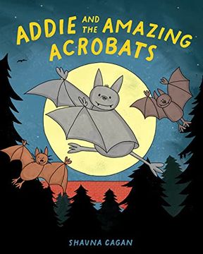 portada Addie and the Amazing Acrobats 