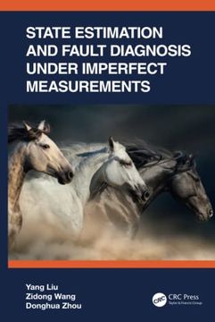 portada State Estimation and Fault Diagnosis Under Imperfect Measurements (en Inglés)